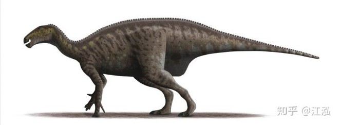 Australia phát hiện hóa thạch khủng long biến thành đá quý - Ảnh 11.