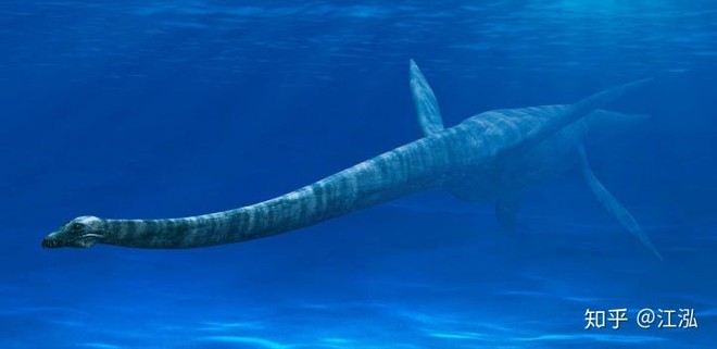 Những con Plesiosaur sau này đã thích nghi với cuộc sống dưới biển sâu.