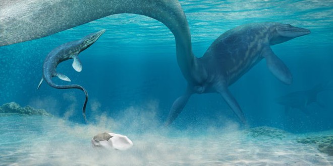 Phát hiện quả trứng lớn nhất thế giới, nghi là của quái vật biển khổng lồ sống tại Nam Cực cách đây 66 triệu năm - Ảnh 2.