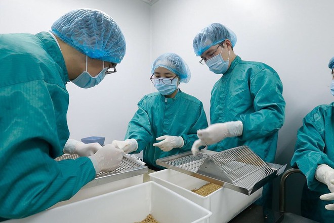 Vắc-xin Covid-19 “made in Vietnam” vượt tiến độ dự kiến, nhiều khả năng sẽ sẵn sàng trong vòng một năm tới - Ảnh 2.
