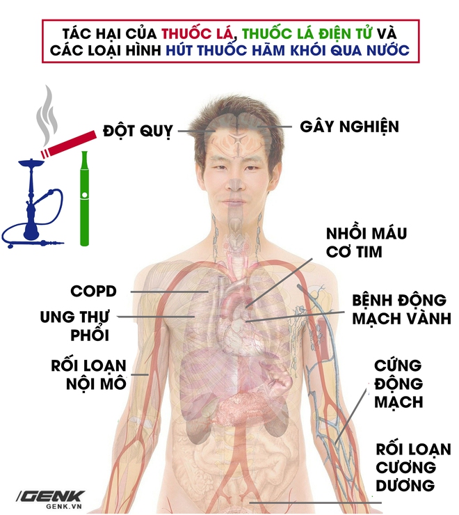 Bất kể hình thức: Hút thuốc lá điếu, thuốc lá điện tử hay shisha đều phá hủy mạch máu và gây ung thư phổi - Ảnh 2.