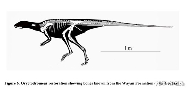Phát hiện loài khủng long sống dưới lòng đất 100 triệu năm trước - Ảnh 4.