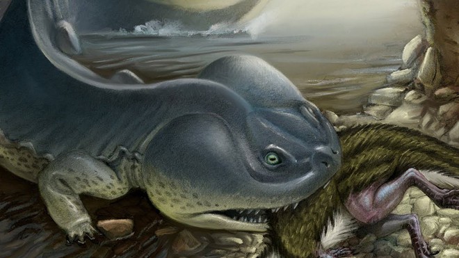 100 triệu năm trước Nam Cực từng tồn tại loài kì nhông có thân hình còn to lớn hơn cả một chiếc xe ô tô - Ảnh 7.