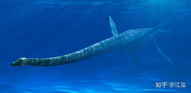 Bằng chứng khảo cổ cho thấy cá mập cổ đại đã phi lên khỏi mặt nước để tấn công thằn lằn bay - Ảnh 2.