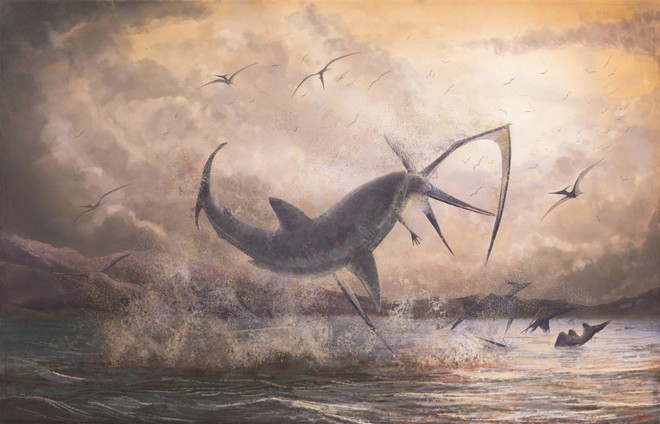Bằng chứng khảo cổ cho thấy cá mập cổ đại đã phi lên khỏi mặt nước để tấn công thằn lằn bay - Ảnh 1.