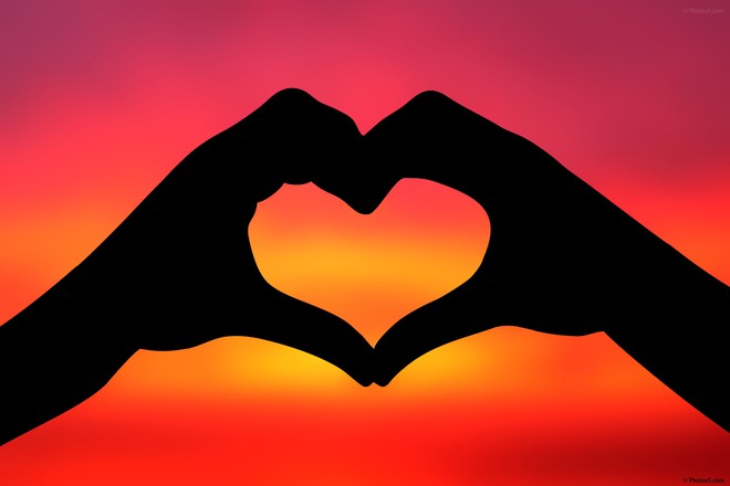 Khoa học của tình yêu là gì: Sự khác biệt giữa thích, yêu và các dạng tình yêu khác nhau - Ảnh 1.