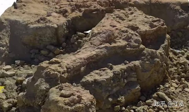 Hình dáng hóa thạch hộp sọ của loài cá sấu khổng lồ Machimosaurus rex.