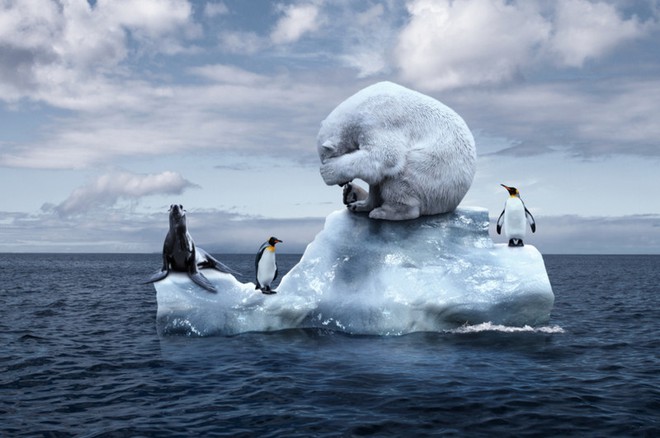 Nghiên cứu: Nam Cực đang nóng lên nhanh hơn gấp 3 lần so với phần còn lại của thế giới - Ảnh 1.