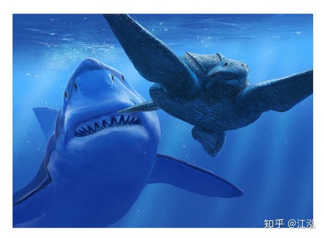 Cretoxyrhina: loại cá mập thời chi phí sử còn kinh hãi hơn hết Megalodon - Hình ảnh 7.