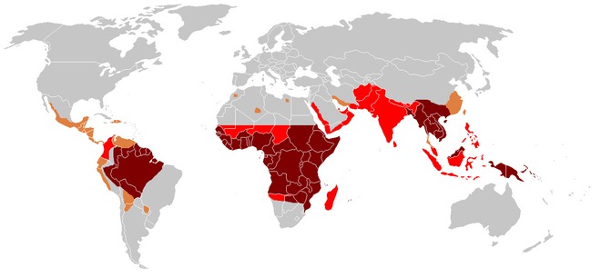 Sự phân bố của bệnh sốt rét trên toàn thế giới: vùng xám là vùng không có sốt rét, vùng vàng cam là vùng sốt rét không do Ký sinh trùng sốt rét Plasmodium falciparum, vùng đỏ tươi là vùng sốt rét kháng chloroquine và vùng đỏ sẫm là vùng sốt rét kháng chloroquine và đa thuốc.
