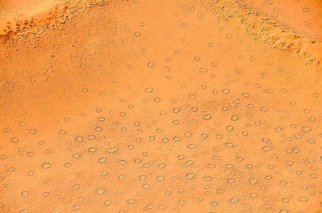 Bí ẩn về những vòng tròn cổ tích tại Namibia - Ảnh 3.