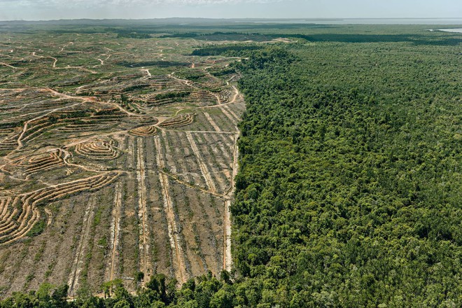 [Video] Kỷ nhân sinh Anthropocene và những vết sẹo con người rạch vào Đất Mẹ - Ảnh 7.