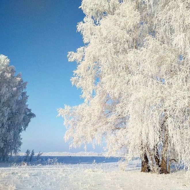 Những bức ảnh cho thấy thời tiết ở Nga lạnh vô đối như thế nào - Ảnh 12.