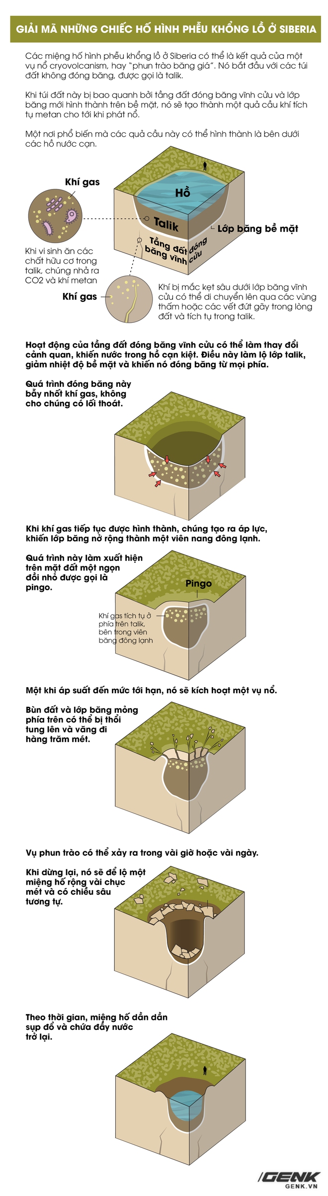 Hàng chục chiếc hố hình phễu khổng lồ được phát hiện ở Siberia, chúng đến từ đâu? - Ảnh 6.