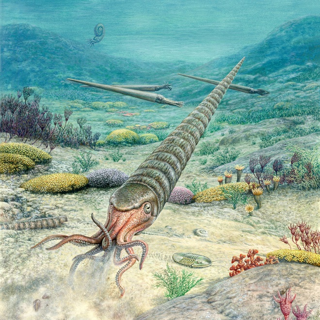 Sự kiện tuyệt chủng của loài Ordovic: lần đầu tiên sự sống trên Trái đất biết đến mùi đắng - Ảnh 2.