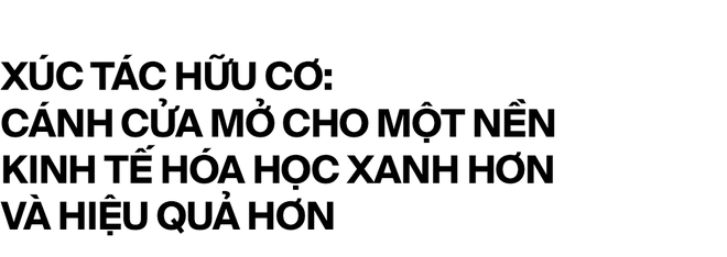 Nobel Hóa học 2021 và những phân tử nắm giữ 35% GDP toàn cầu - Ảnh 10. Nobel Hóa học 2021 và những phân tử nắm giữ 35% GDP toàn cầu - Ảnh 10.