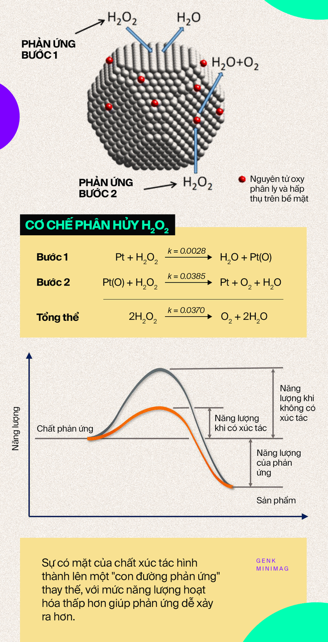 Nobel Hóa học 2021 và những phân tử nắm giữ 35% GDP toàn cầu - Ảnh 5. Nobel Hóa học 2021 và những phân tử nắm giữ 35% GDP toàn cầu - Ảnh 5.