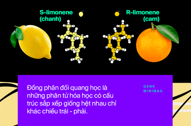 Nobel Hóa học 2021 và những phân tử nắm giữ 35% GDP toàn cầu - Ảnh 7. Nobel Hóa học 2021 và những phân tử nắm giữ 35% GDP toàn cầu - Ảnh 7.