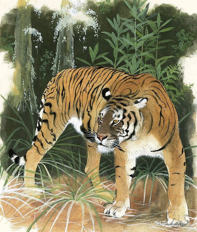 Báo đốm, loài báo to lớn nhất và hổ Sumatra, loài hổ nhỏ bé nhất, loài nào mạnh hơn? - Ảnh 3.