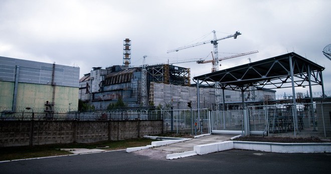 Các nhà khoa học bất ngờ phát hiện một loại nấm lạ trên tường của lò phản ứng hạt nhân Chernobyl - Ảnh 1.