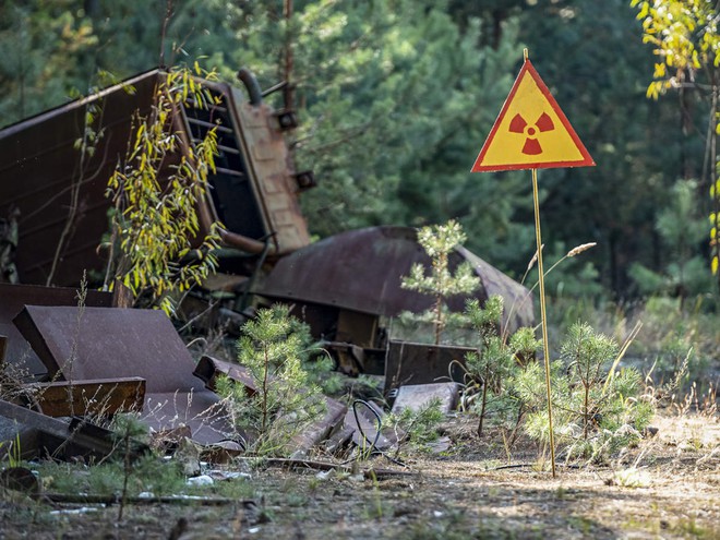 Các nhà khoa học bất ngờ phát hiện một loại nấm lạ trên tường của lò phản ứng hạt nhân Chernobyl - Ảnh 3.
