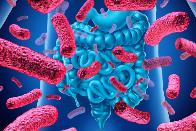 Hơn 140.000 loài virus đang sống trong ruột người, một nửa số này chưa từng được biết đến trước đây - Ảnh 1. Hơn 140.000 loài virus đang sống trong ruột người, một nửa số này chưa từng được biết đến trước đây - Ảnh 1.