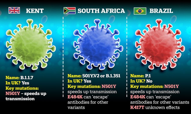 Biến thể virus SARS-CoV-2 mới ở Anh tiếp tục đột biến - Ảnh 2.