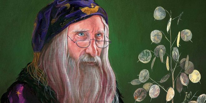 Doctor Strange đấu phép thuật với Dumbledore: Ai sẽ thắng? - Ảnh 2.