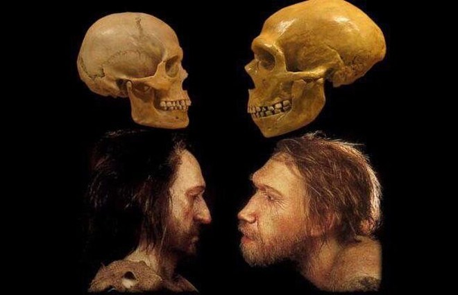 Nếu người Neanderthal không bị tuyệt chủng, thế giới sẽ ra sao? - Ảnh 1.