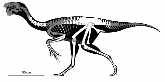 Phát hiện hóa thạch khủng long chết trong khi đang ấp trứng với những con non đang nở - Ảnh 3.
