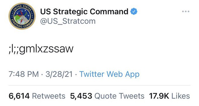 Bộ Chỉ huy Chiến lược Hoa Kỳ đăng dòng ký tự vô nghĩa ;l;;gmlxzssaw lên Twitter, cư dân mạng đoán ngay rằng có mèo trèo lên bàn phím - Ảnh 1.