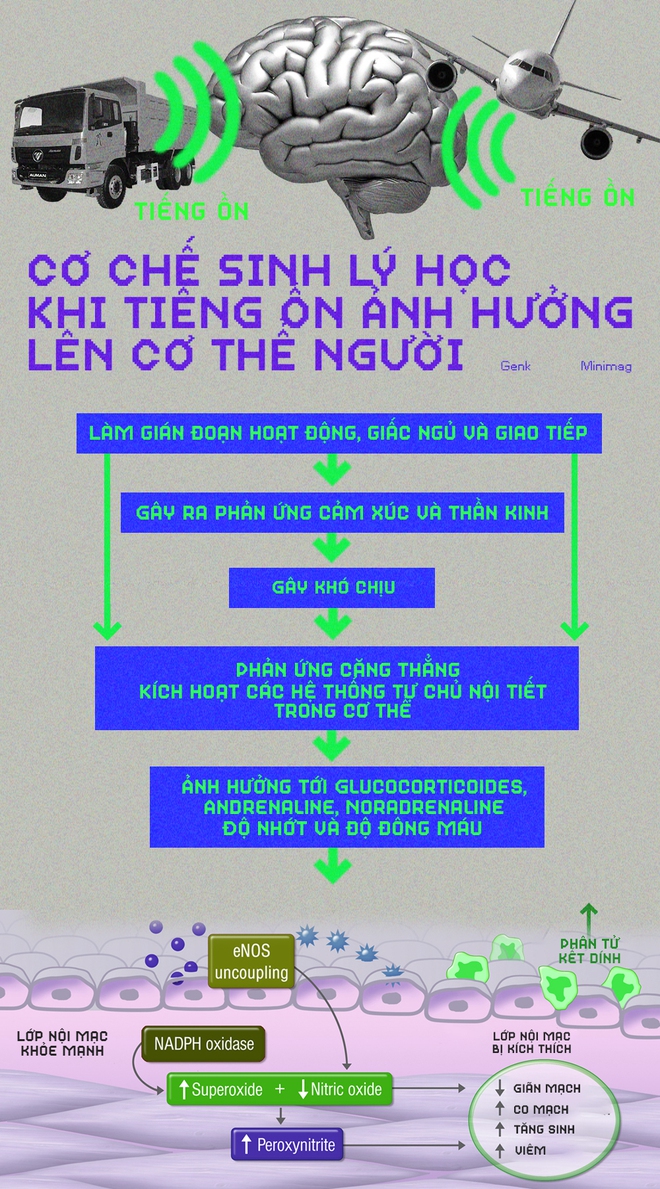 Ô nhiễm tiếng ồn: Sát nhân thầm lặng bên trong các thành phố - Ảnh 6. Ô nhiễm tiếng ồn: Sát nhân thầm lặng bên trong các thành phố - Ảnh 6.