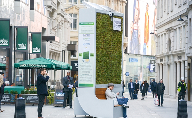 This 29 Year Old German Farmer Wants To Plant 1 Million Square Meters Of Moss Inside The Cities Itzone