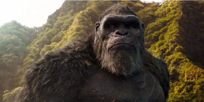 Godzilla vs. Kong: Những chi tiết quan trọng giúp MonsterVerse trở nên có chiều sâu thay vì chỉ là loạt bom tấn xem cho sướng mắt - Ảnh 8. Godzilla vs. Kong: Những chi tiết quan trọng giúp MonsterVerse trở nên có chiều sâu thay vì chỉ là loạt bom tấn xem cho sướng mắt - Ảnh 8.