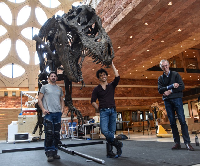 Bạn có thể không cần chạy nhanh hơn một chú T. rex - đi bộ nhanh hơn nó là đủ rồi - Ảnh 4. Bạn có thể không cần chạy nhanh hơn một chú T. rex - đi bộ nhanh hơn nó là đủ rồi - Ảnh 4.