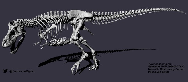 Bạn có thể không cần chạy nhanh hơn một chú T. rex - đi bộ nhanh hơn nó là đủ rồi - Ảnh 1. Bạn có thể không cần chạy nhanh hơn một chú T. rex - đi bộ nhanh hơn nó là đủ rồi - Ảnh 1.