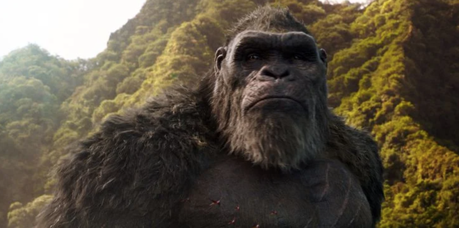 Vì sao trước đây Godzilla chưa từng dằn mặt Kong dù cả 2 đã cùng tồn tại trên Trái Đất trong nhiều thập kỷ qua? - Ảnh 2.