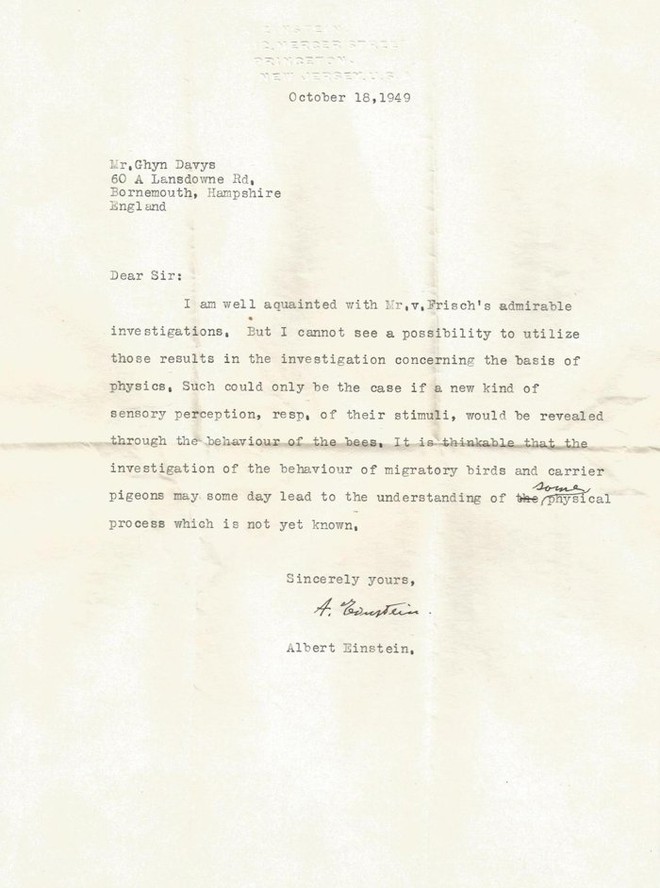 Một bức thư thất lạc của Einstein vừa được tìm thấy, và nó tiết lộ dự đoán của ông về siêu giác quan của động vật - Ảnh 1.