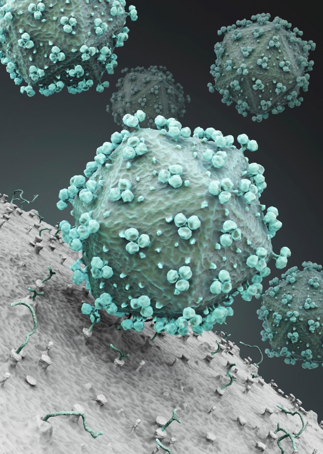 Giữa đại dịch của một virus, một virus đại dịch khác lại đang cứu sống những đứa trẻ bong bóng - Ảnh 6. Giữa đại dịch của một virus, một virus đại dịch khác lại đang cứu sống những đứa trẻ bong bóng - Ảnh 6.