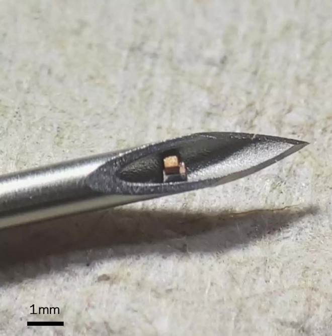 Các nhà khoa học tạo ra chip đơn nhỏ nhất thế giới, nằm gọn trong mũi kim để tiêm vào cơ thể - Ảnh 1.