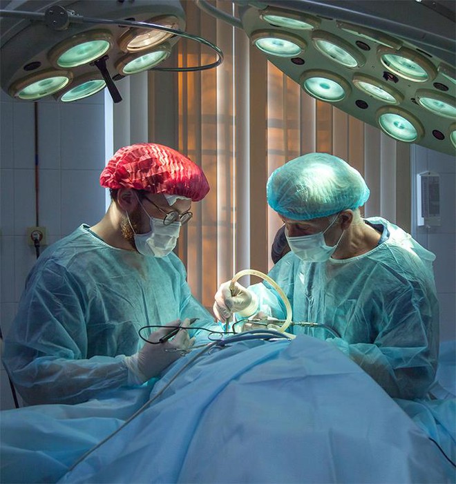 Tim có mùi gì? Tại sao xương quai xanh dễ gãy? Đây là những sự thật về cơ thể mà ít người biết tới - Ảnh 3. Tim có mùi gì? Tại sao xương quai xanh dễ gãy? Đây là những sự thật về cơ thể mà ít người biết tới - Ảnh 3.
