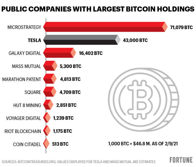 Giá càng tụt sâu, cá mập giữ số Bitcoin nhiều nhất thế giới càng tranh thủ ‘bắt đáy’ - Ảnh 2.