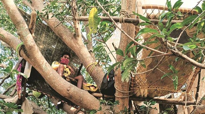 Ấn Độ: Nhiều bệnh nhân Covid-19 tự cách ly hàng chục ngày trên cây như trong phim Tarzan - Ảnh 4.