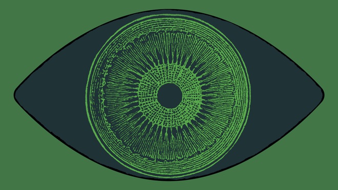 Đột phá: nhờ cấy gen tảo vào mắt, một người khiếm thị lấy lại được một phần nhỏ thị lực - Ảnh 1.