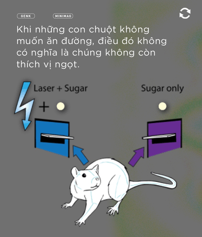 Bệnh nhân B-19 và tham vọng hoán cải giới tính con người bằng phẫu thuật não - Ảnh 7. Bệnh nhân B-19 và tham vọng hoán cải giới tính con người bằng phẫu thuật não - Ảnh 7.