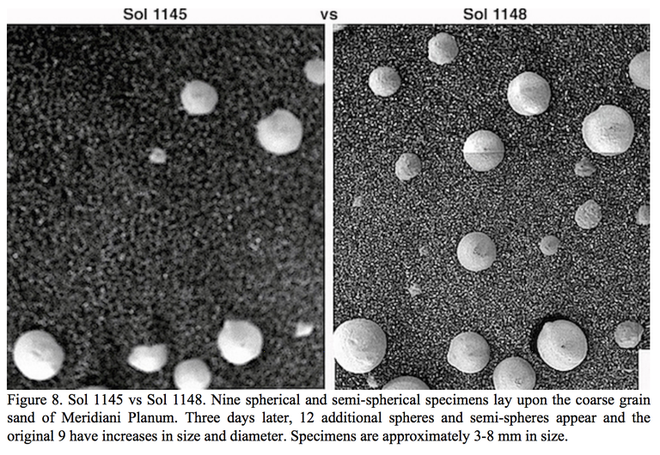 Thu thập và phân tích ảnh chụp Sao Hỏa, các nhà khoa học phát hiện ra những cụm vật thể vừa tròn vừa trắng, trông rất giống nấm - Ảnh 2.