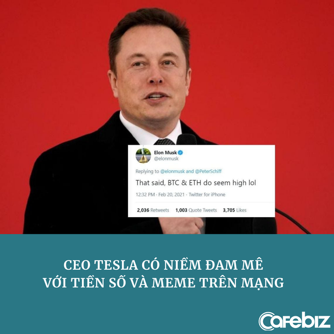 Tesla thực sự cần một ‘Elon Musk thứ hai’? - Ảnh 1.