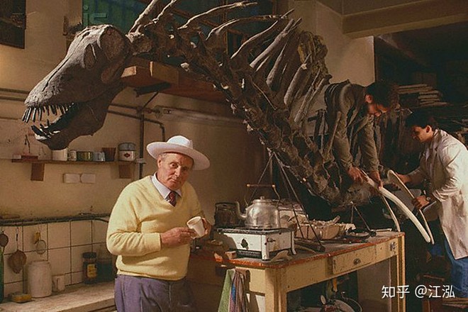 Cứ tưởng khám phá ra loài khủng long tí hon, ai ngờ rằng khi trưởng thành chúng lại nặng cả tấn - Ảnh 1.