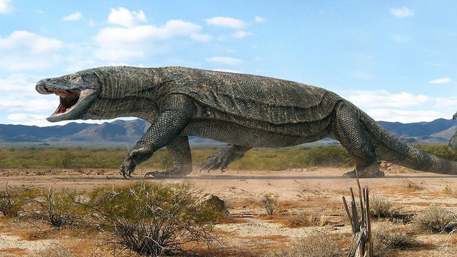Phát hiện loài cá sấu cổ đại tại Australia có khả năng chạy nhanh trên cạn cách đây 40.000 năm - Ảnh 3.