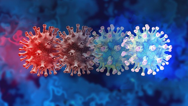 Toàn bộ virus SARS-CoV-2 trên thế giới gộp lại chỉ nặng bằng một quả táo - Ảnh 3. Toàn bộ virus SARS-CoV-2 trên thế giới gộp lại chỉ nặng bằng một quả táo - Ảnh 3.